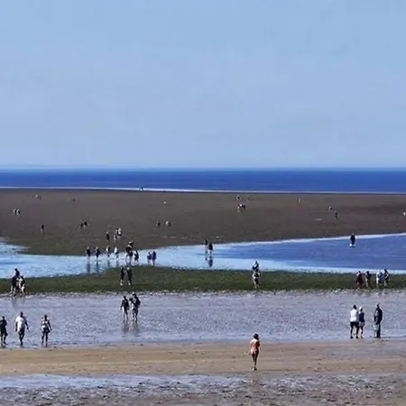 Mobil-home Avec Terrasse à Pour 3 Pers. - Api-1-52-605