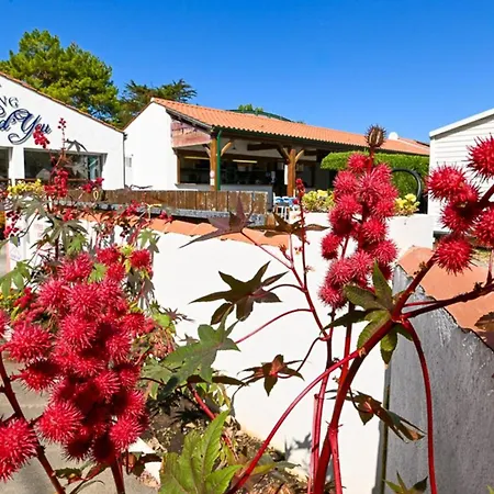 营地 Mobil-home Avec Terrasse A Pour 3 Pers. - Api-1-52-605 *