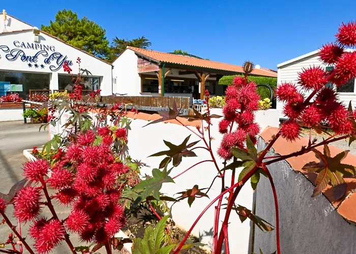 营地 Mobil-home Avec Terrasse A Pour 3 Pers. - Api-1-52-605 *