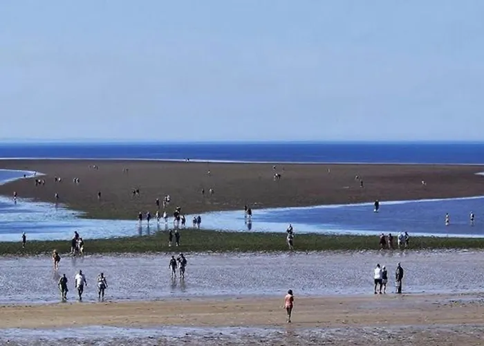 Mobil-home Avec Terrasse A Pour 3 Pers. - Api-1-52-605 *