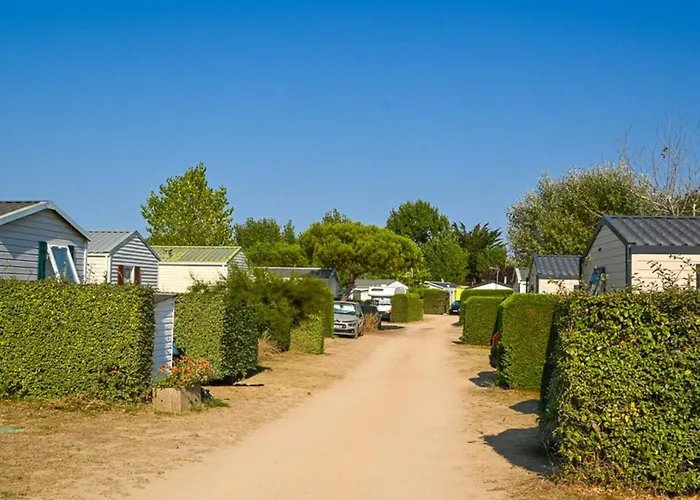 Mobil-home Avec Terrasse A Pour 3 Pers. - Api-1-52-605 营地